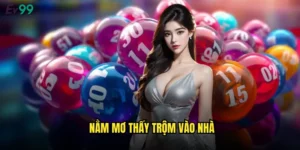 mơ thấy trộm vào nhà